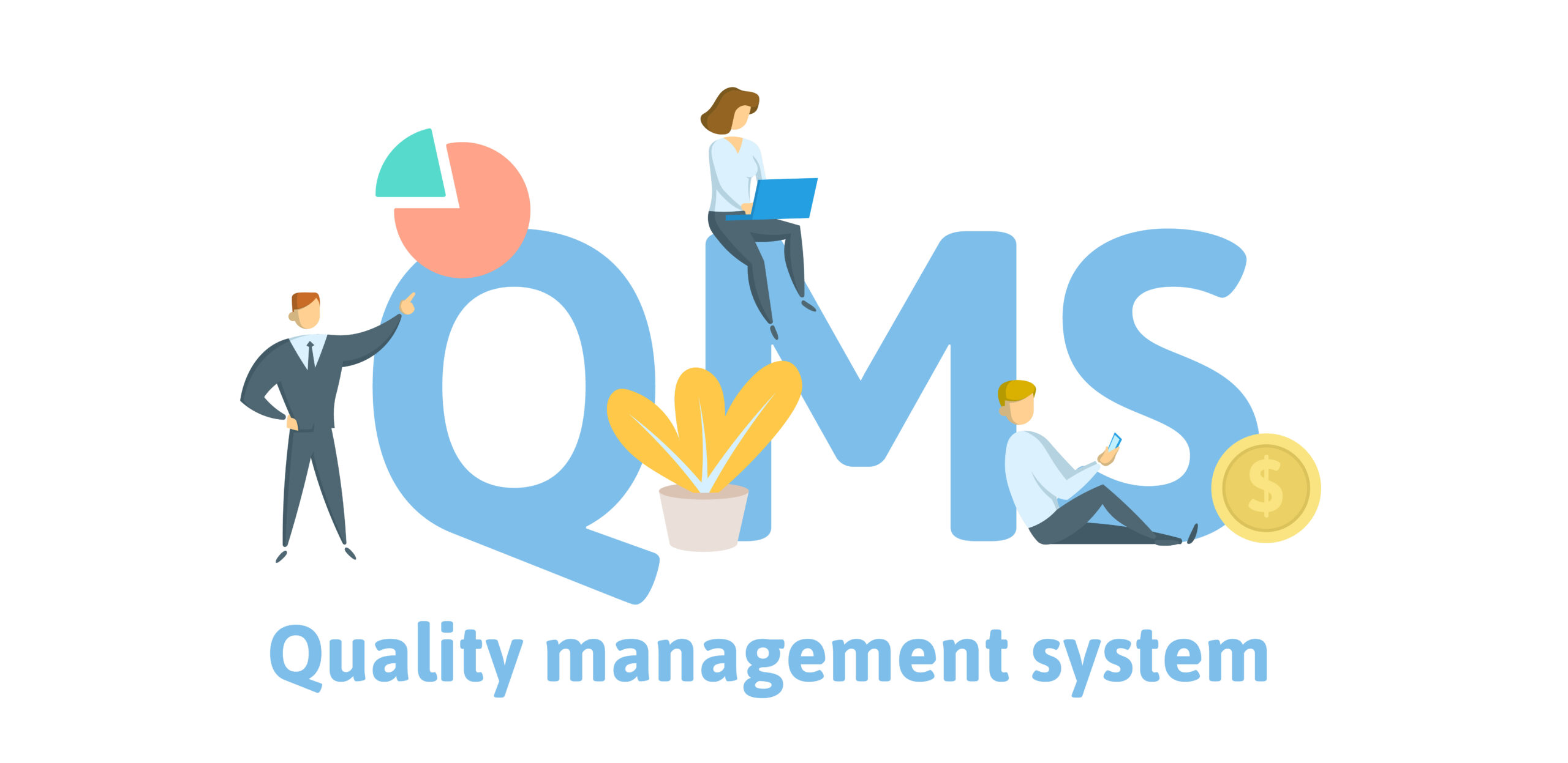 What is Quality Management System (QMS) & types ?