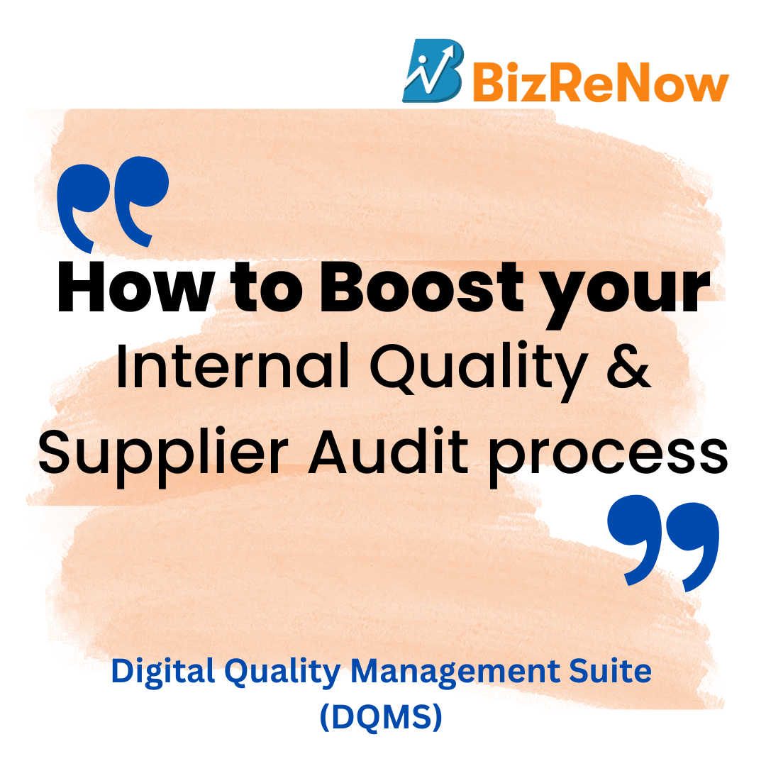 Internal Audit Management Software